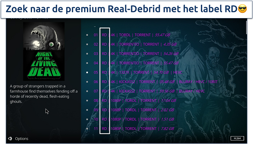 Screenshot showing a list of RD links